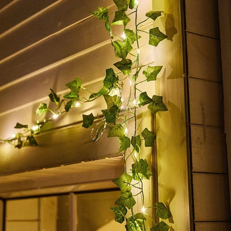 BotaniShade - string plant lamp